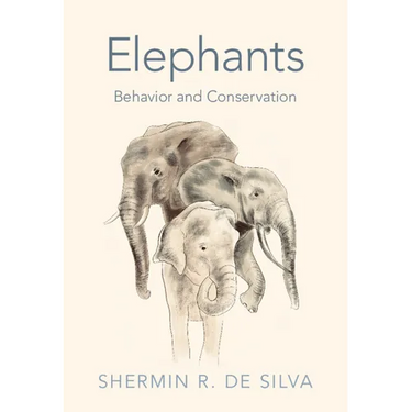 Elephants