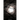 The Beasts of Darkwood Hole