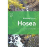 Journey Through Hosea: 31 Biblical Insights by David Gibb