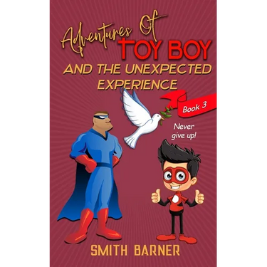 Adventures of Toy Boy and the Unexpected Experience