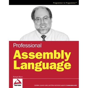 Professional Assembly Language