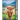 Highland Cow: Picture Perfect Photo Book