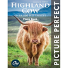 Highland Cow: Picture Perfect Photo Book