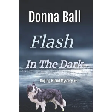 Flash in the Dark