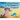The Princess Pirate & The Dolphin's Treasure