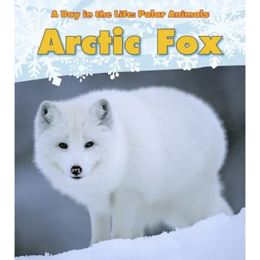 Arctic Fox