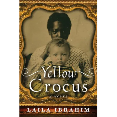 Yellow Crocus