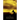 The Mysterious Golden Horse