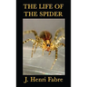 The Life of the Spider
