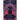 Forest of Shadows