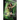 The Emerald