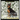 Miniature Pinscher: Reigning King of Toys