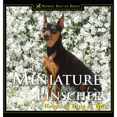 Miniature Pinscher: Reigning King of Toys