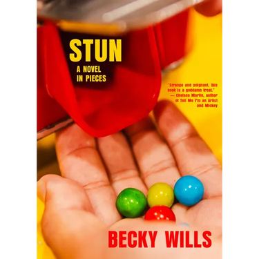 Stun: A Novel in Pieces