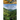 Lime Creek Odyssey