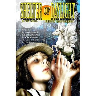 Shelter of Daylight July 2023
