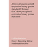 Lesbian Feminism: Essays Opposing Global Heteropatriarchies