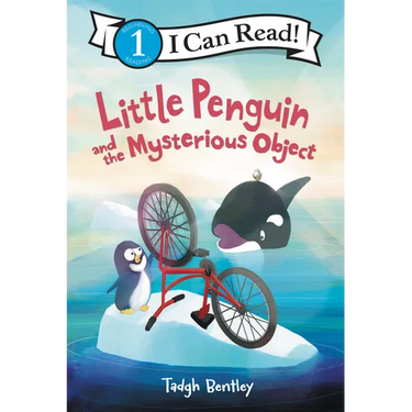 Little Penguin and the Mysterious Object