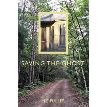 Saving the Ghost