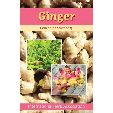 Ginger: Herb of the Year 2023