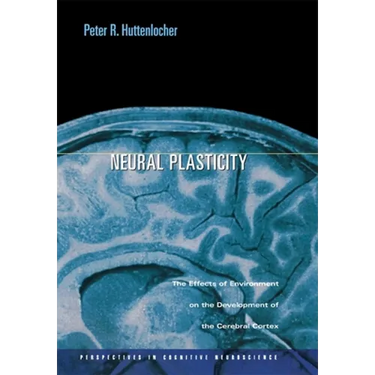 Neural Plasticity: The Effects of Environment on the Development of the Cerebral Cortex