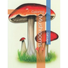Mushrooms: Coloring