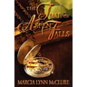 The Time of Aspen Falls