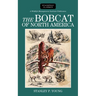 Bobcat of North America