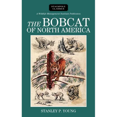 Bobcat of North America