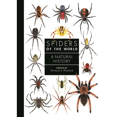 Spiders of the World: A Natural History