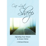 One Lost Sheep: Opening Your Heart to Jesus Christ