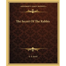 The Secret Of The Rabbis