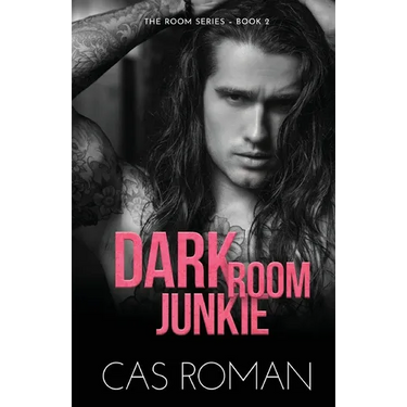 Dark Room Junkie: A Too Many Secrets And Second Chance MM Romance