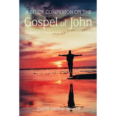 A Study Companion on the Gospel of John: 978-1-63528-116-3