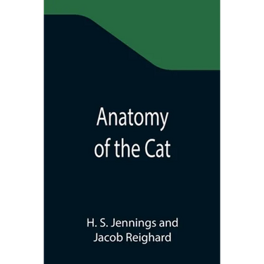 Anatomy of the Cat