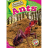 Ants