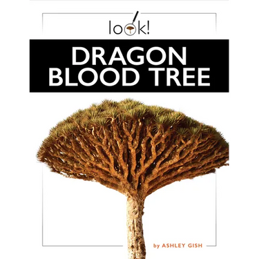 Dragon Blood Tree