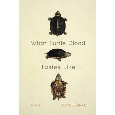 What Turtle Blood Tastes Like
