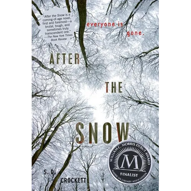 After the Snow