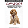 Cavapoos - The Owner's Guide From Puppy To Old Age - Buying, Caring for, Grooming, Health, Training and Understanding Your Cavapoo Dog or Puppy