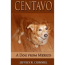 Centavo, A Dog From Mexico