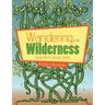 Wandering in the Wilderness: Adult Maze Activity Book