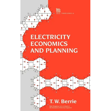 Electricity Economics and Planning
