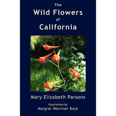 The Wild Flowers of California