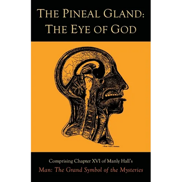 The Pineal Gland: The Eye of God
