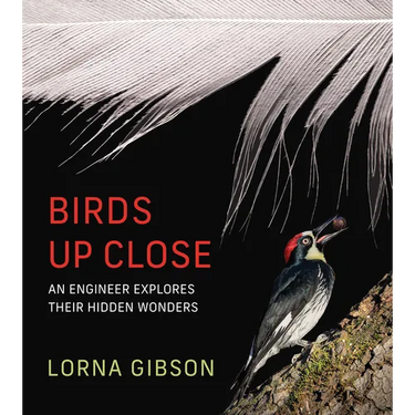 Birds Up Close: An Engineer Explores Their Hidden Wonders