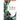 The Book