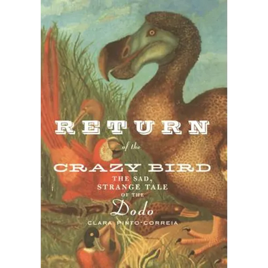Return of the Crazy Bird: The Sad, Strange Tale of the Dodo