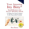 Your Amazing Itty Bitty Small Business for Service Members Book: 15 Things You Need To Know To Be Purposefully Profitable