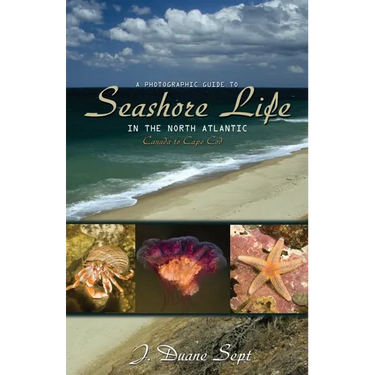 A Photographic Guide to Seashore Life in the North Atlantic: Canada to Cape Cod